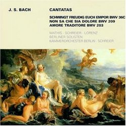J.S. Bach: Cantatas BWV 36C, 209, 203