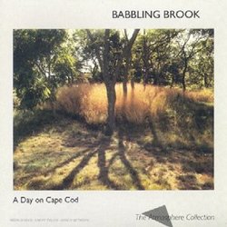 Babbling Brook