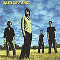 Damesviolet