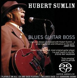 Blues Guitar Boss (Hybr)