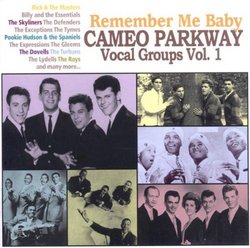 Remember Me Baby: Cameo Parkway Vocal Goups 1