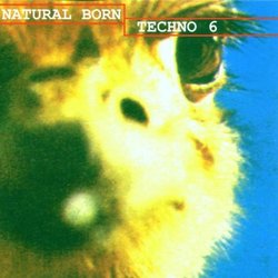 Natural Born Techno, Vol. 6