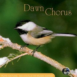 Dawn Chorus