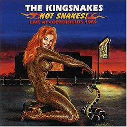 Hot Snakes: Live At Copperfield's 1989