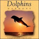 Dolphins Harmony