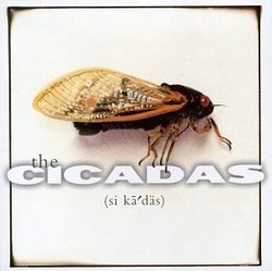 Cicadas