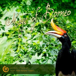 Magic of Borneo - Nature Sound Audio CD