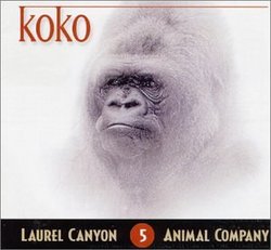 Koko, Fine Animal Gorilla
