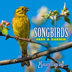 Songbirds: Park & Garden