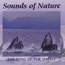 Sounds Of Nature: The Song Of The Whale
