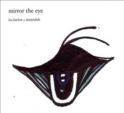 Mirror the Eye