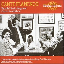 Cante Flamenco - Live