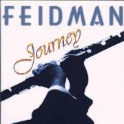 Feidmans Journey