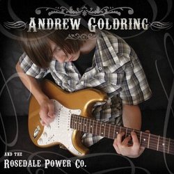 Andrew Goldring & The Rosedale Power Co.