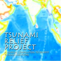 Tsunami Relief Project