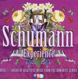 Schumann Experience