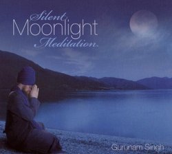 Silent Moonlight Meditation (Dig)