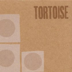 Tortoise