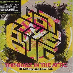 Got the Bug: Remixes Collection