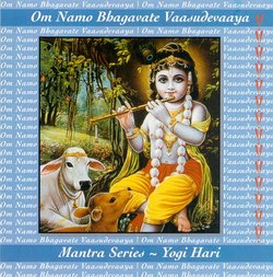 Om Namo Bhagavate Vaasudevaaya: Mantra Series