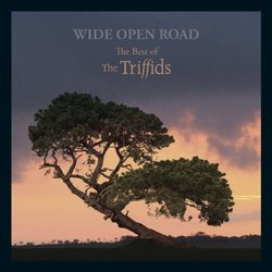 Wide Open Road (The Best of the Triffids)
