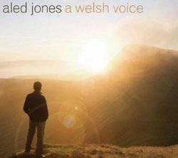 Welsh Voice