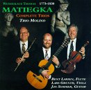Matiegka: Trios for Flute, Viola and Guitar
