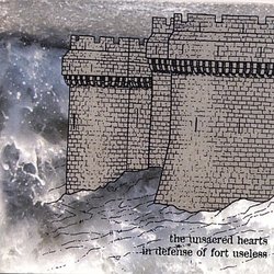 In Defense of Fort Useless