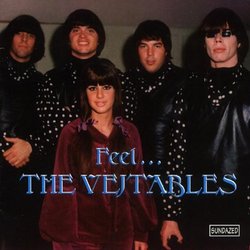 Feel the Vejtables