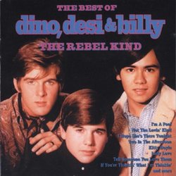 Rebel Kind: Best of Dino Desi & Billy