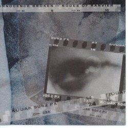Innocence Broken / Nodes of Ranvier (Split CD)