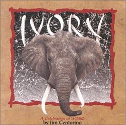 IVORY, A Celebration Of Wildlife