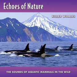 Echoes Of Nature: Killer Whales