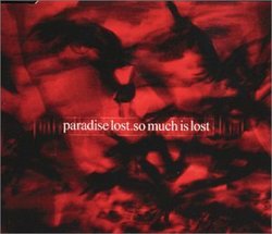 So Much Is Lost / Languish