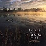 Natural Encounters: Loons in Morning Mist