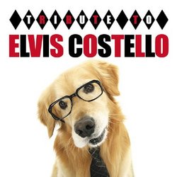 Tribute to Elvis Costello