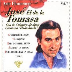 Arte Flamenco V.7