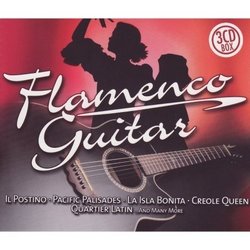 Flamenco Guitar