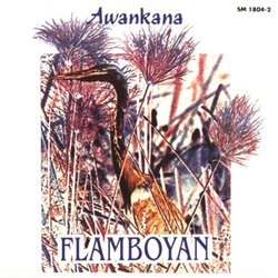 Flamboyan-River Of The Stars