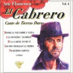 Arte Flamenco V.4