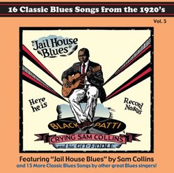 16 Classic Blues Songs from the 1920's, Vol. 5: Jail House Blues
