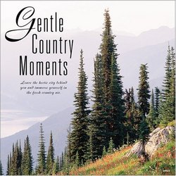 Relaxation: Gentle Country Moments