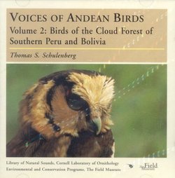 Voices of Andean Birds, Vol. 2: Birds of the Cloud Forest of Southern Peru