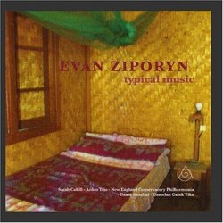 Evan Ziporyn: Typical Music