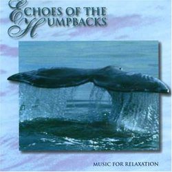 Echoes of the Humpbacks
