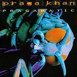 Pragamatic