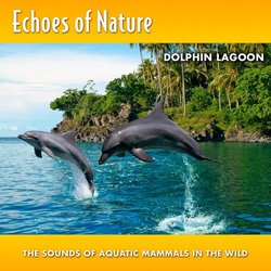 Echoes Of Nature: Dolphin Lagoon