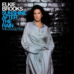 Sunshine After the Rain: the Collection (2 CD/40-tracks)