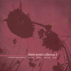 Shanti Project Collection 3