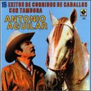 15 Exitos De Corridos De Caballos